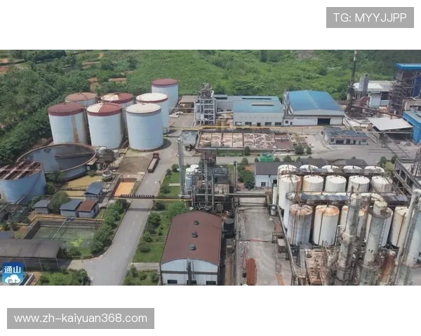 开云集团的企业社会责任实践与公益项目的持续推进